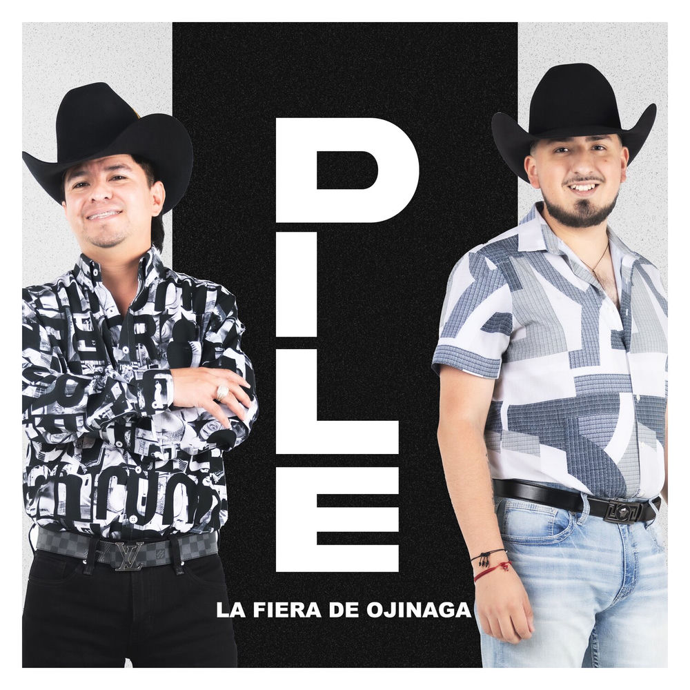 Dile cover