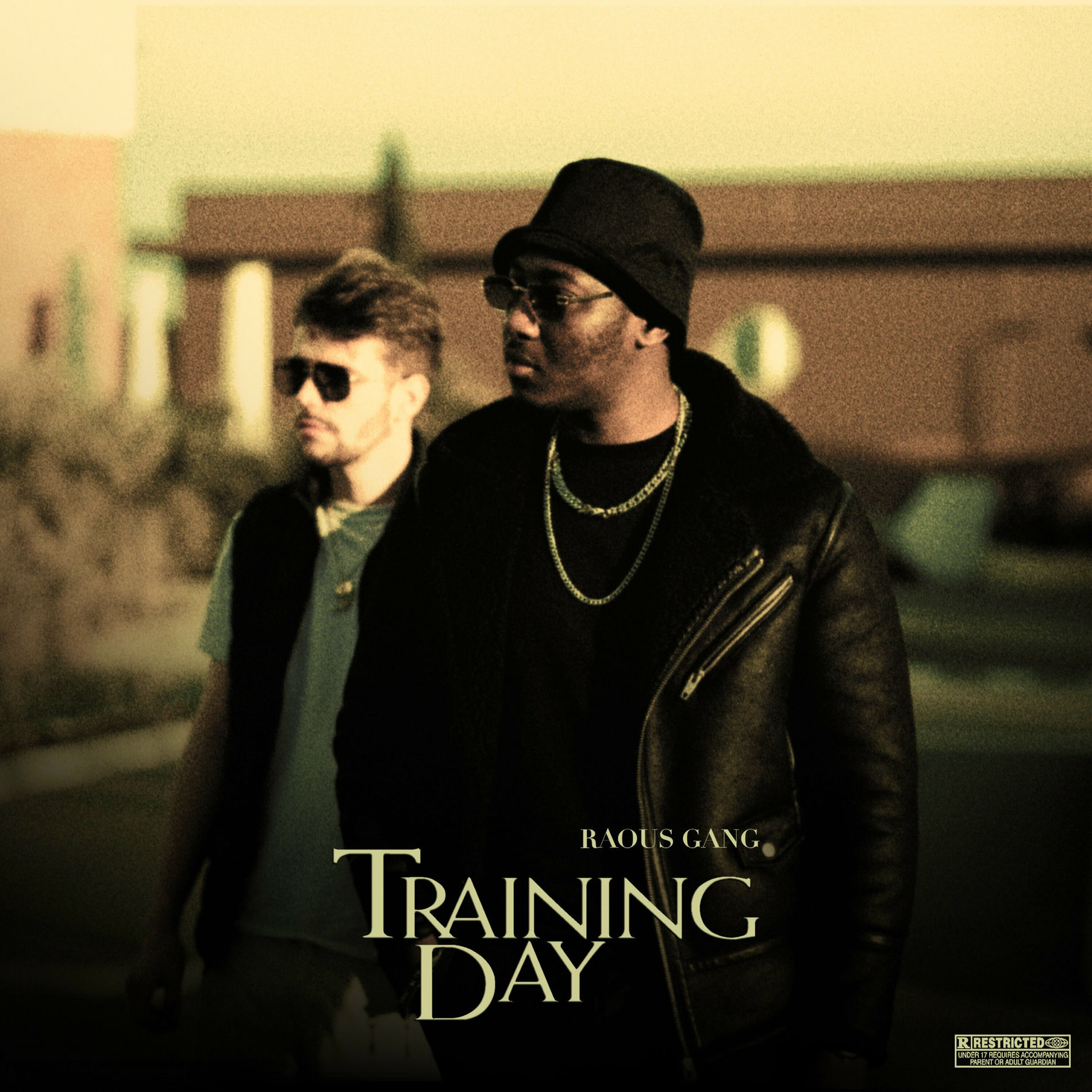 Album cover of Training Day