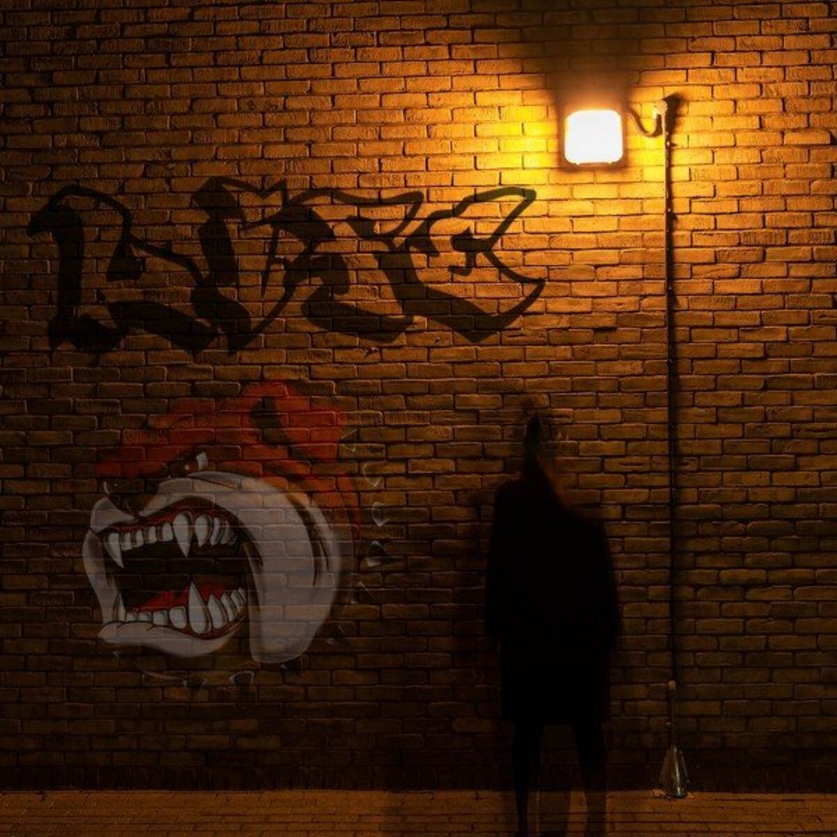 Album cover of Life