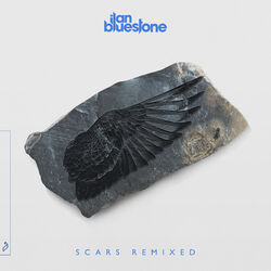 Cover of Scars (Remixed)