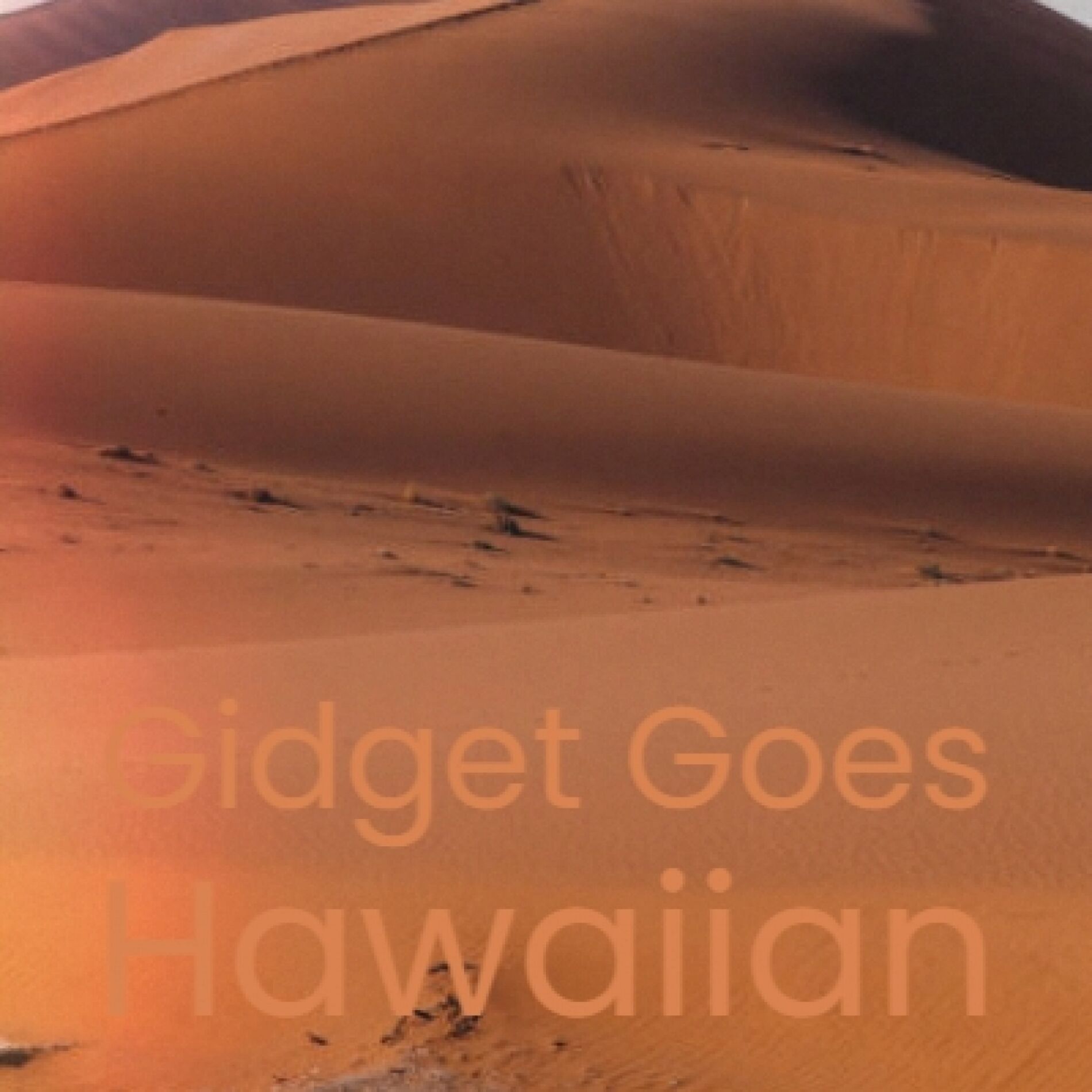Album cover of Gidget Goes Hawaiian
