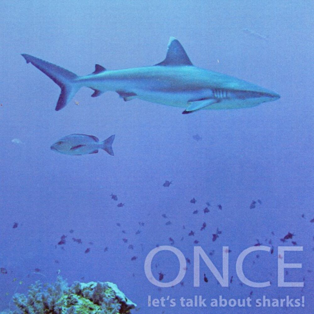 Picture of Let's Talk About Sharks