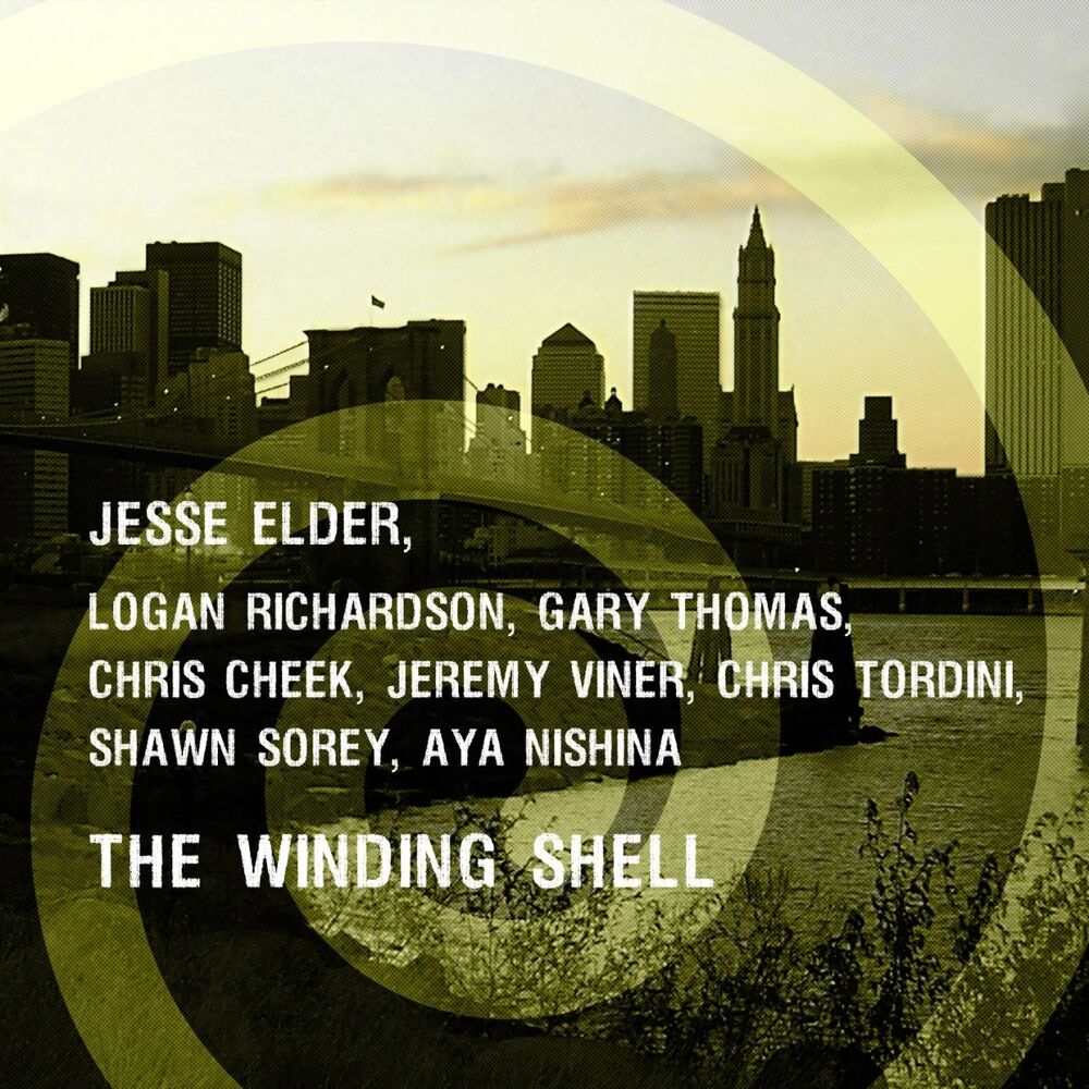 Picture of The Winding Shell