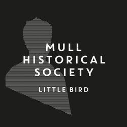Cover of Little Bird