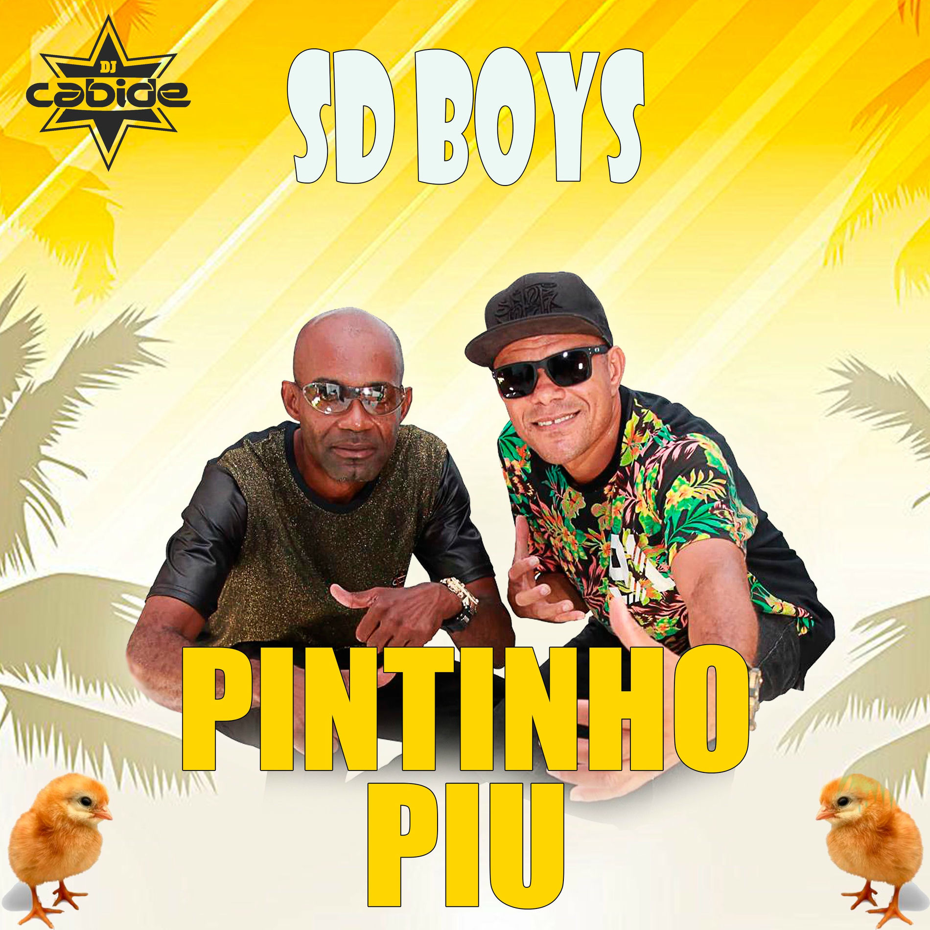 Album cover of Pintinho Piu