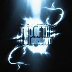 Cover of Top Of The Crowd