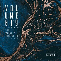 Cover of The Worship Initiative, Vol. 19