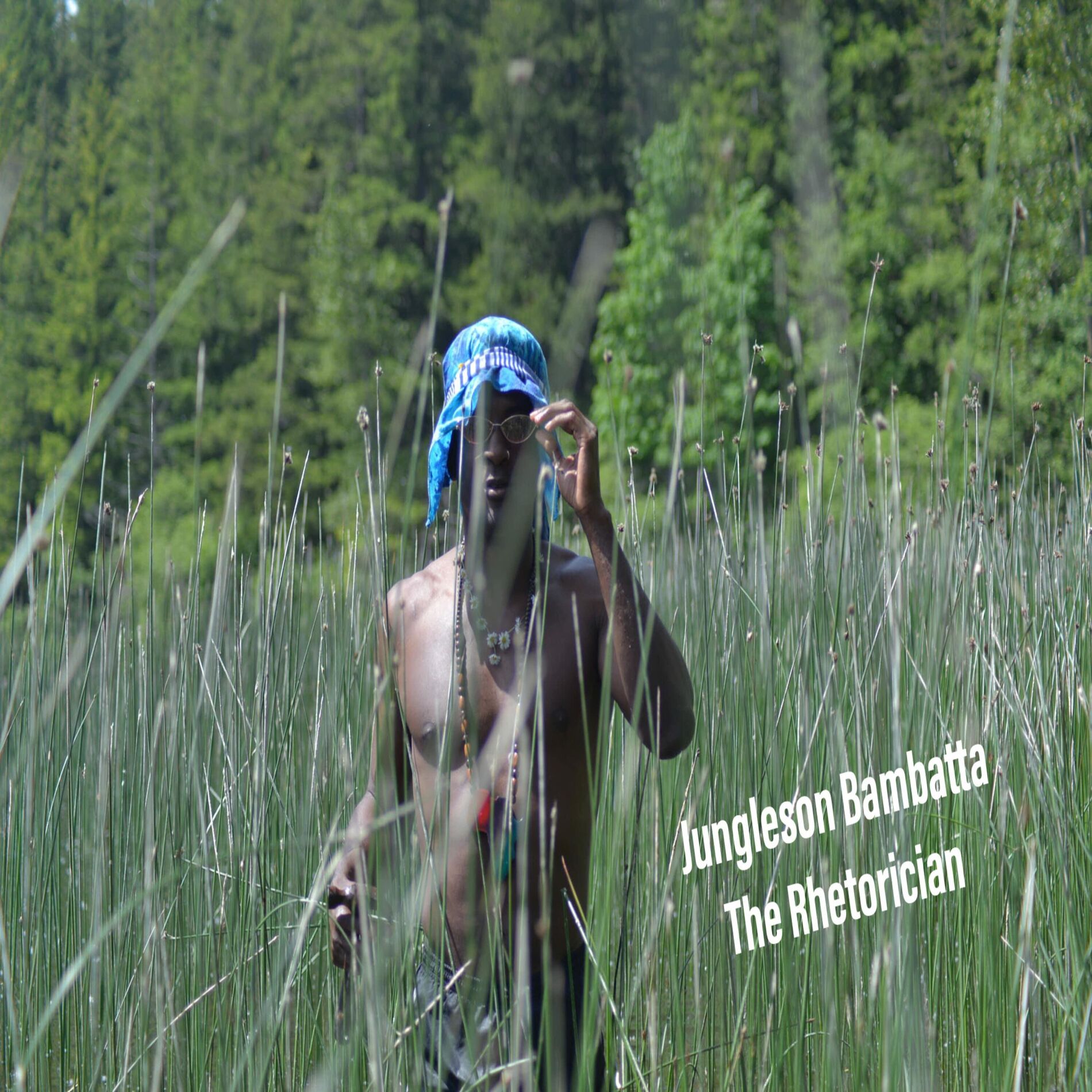 Album cover of Jungleson Bambatta