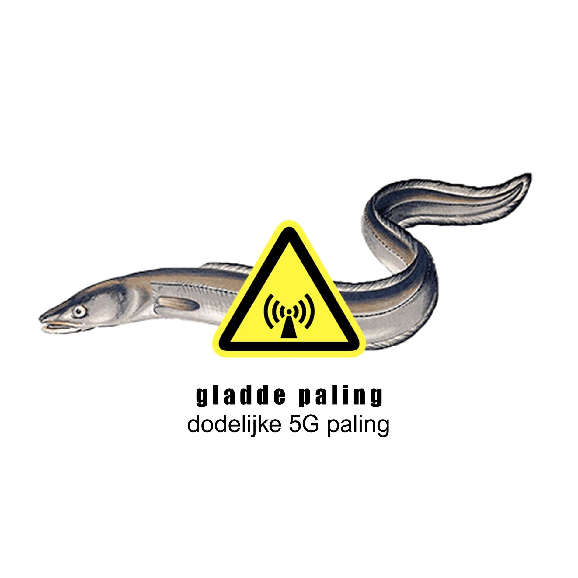Album cover of dodelijke 5G paling