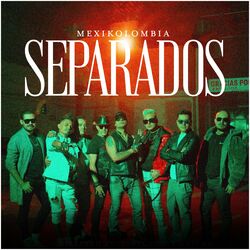 Cover of Separados
