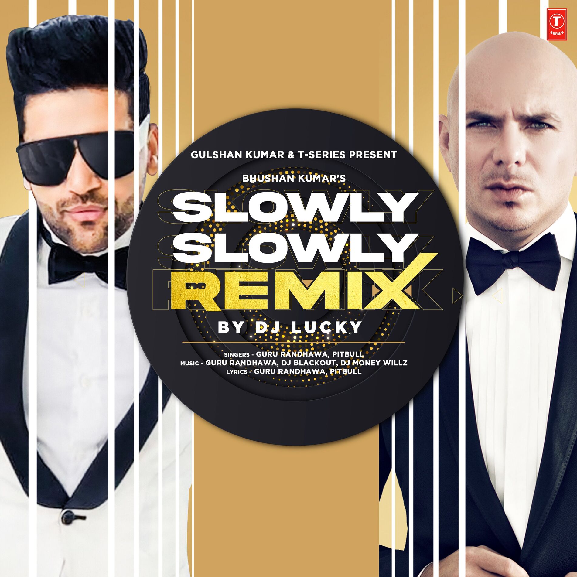 Album cover of Slowly Slowly Remix