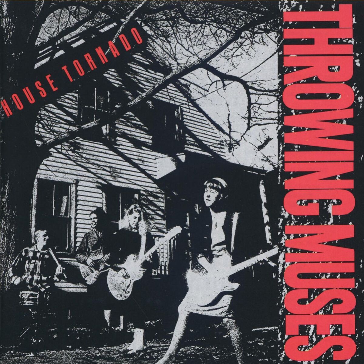 Album cover of House Tornado