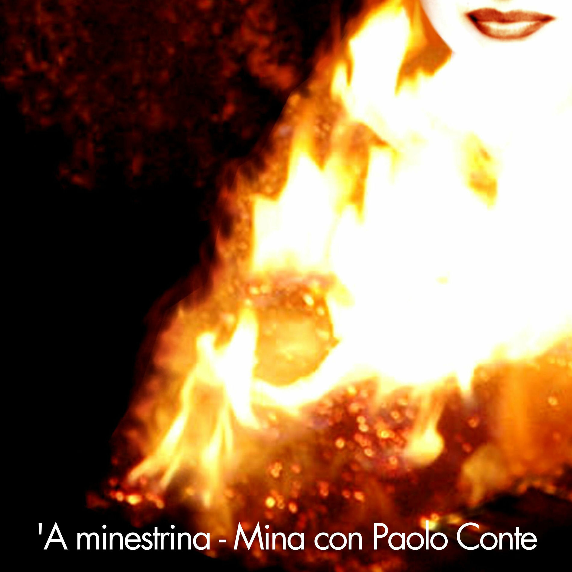 Album cover of 'A minestrina