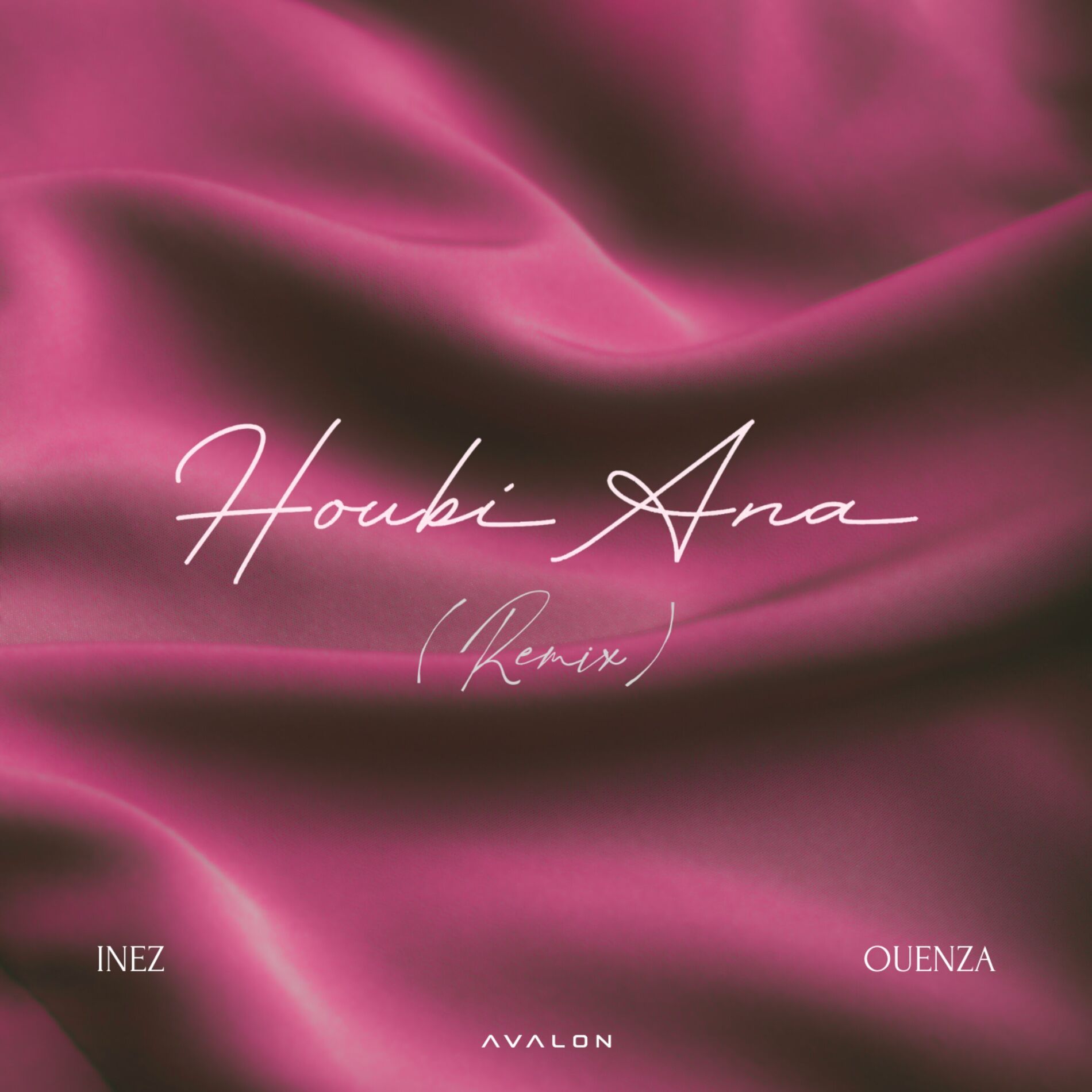 Album cover of Houbi Ana