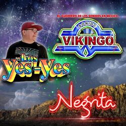 Cover of Negrita