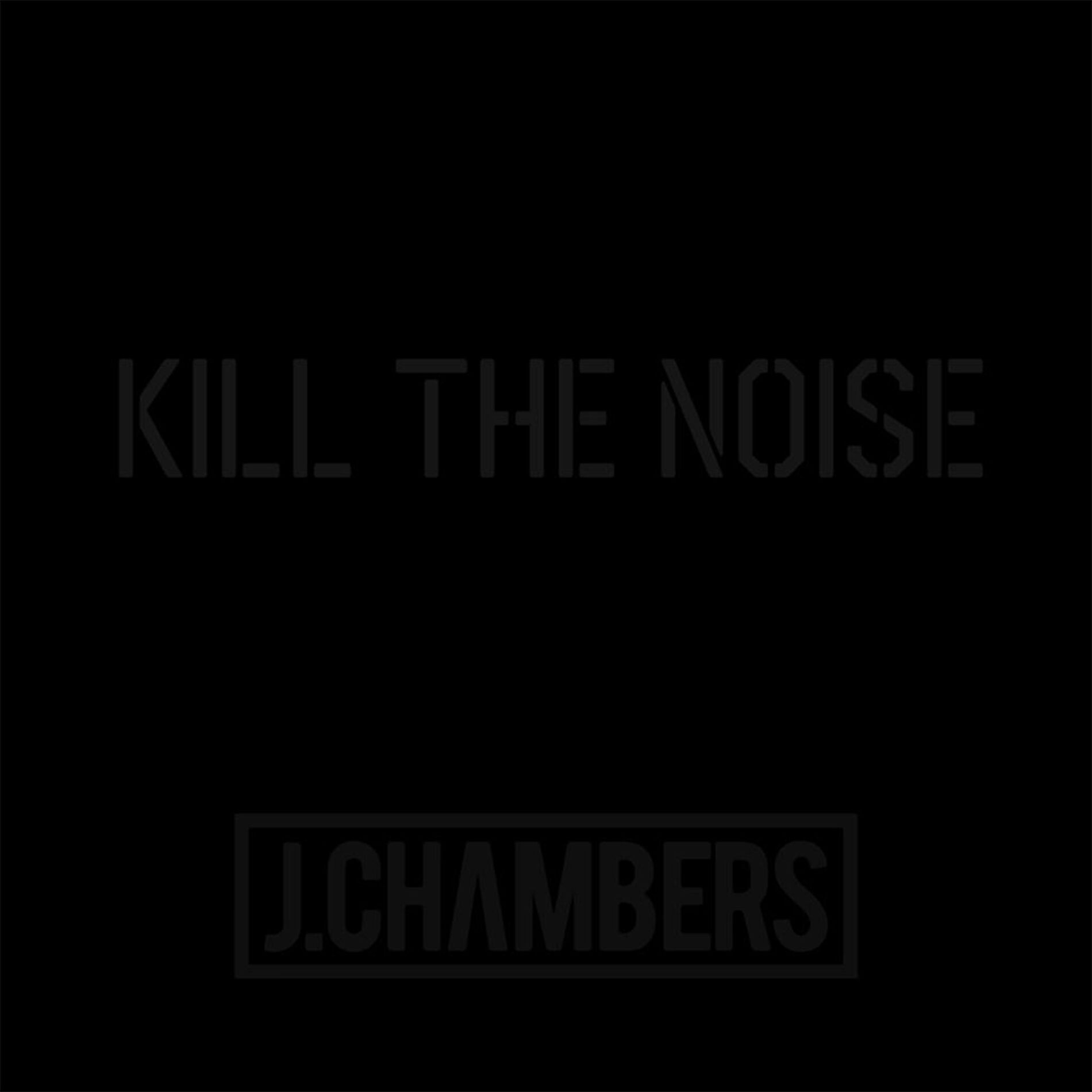 Album cover of Kill The Noise