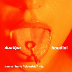 Cover of Houdini (Danny L Harle Slowride Mix)