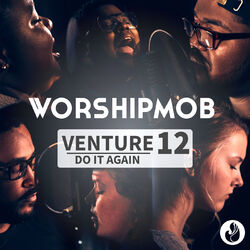Cover of Venture 12: Do It Again