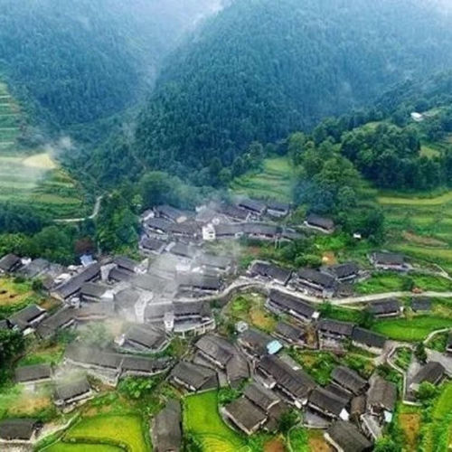 山里情