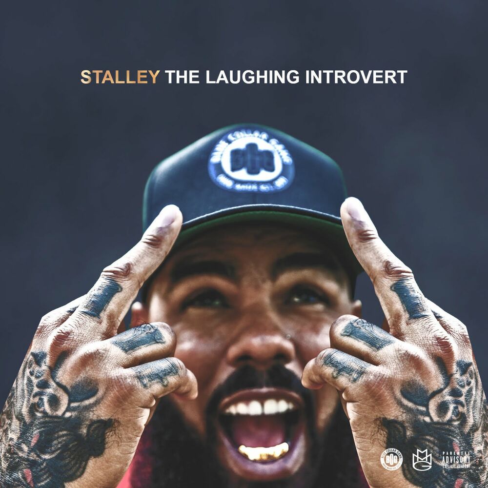 Picture of The Laughing Introvert