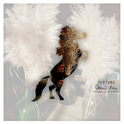 Cover of Texture by undefined