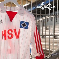 Cover of HSV (Coversongs)