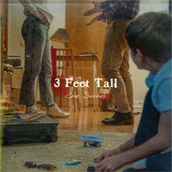Cover of 3 Feet Tall