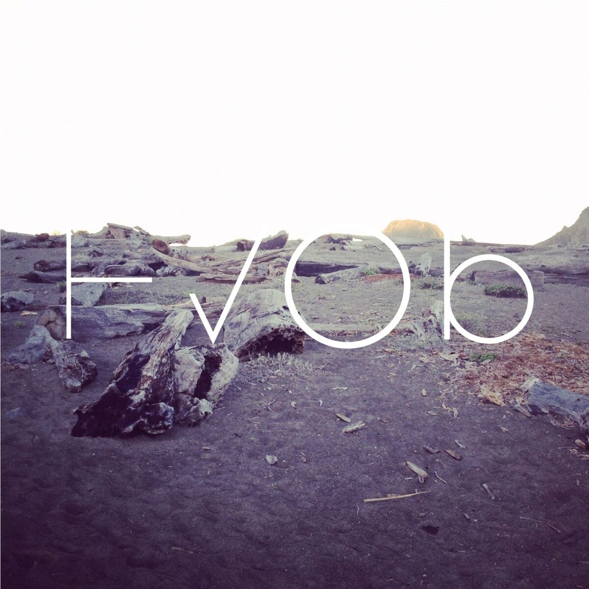 Album cover of HVOB