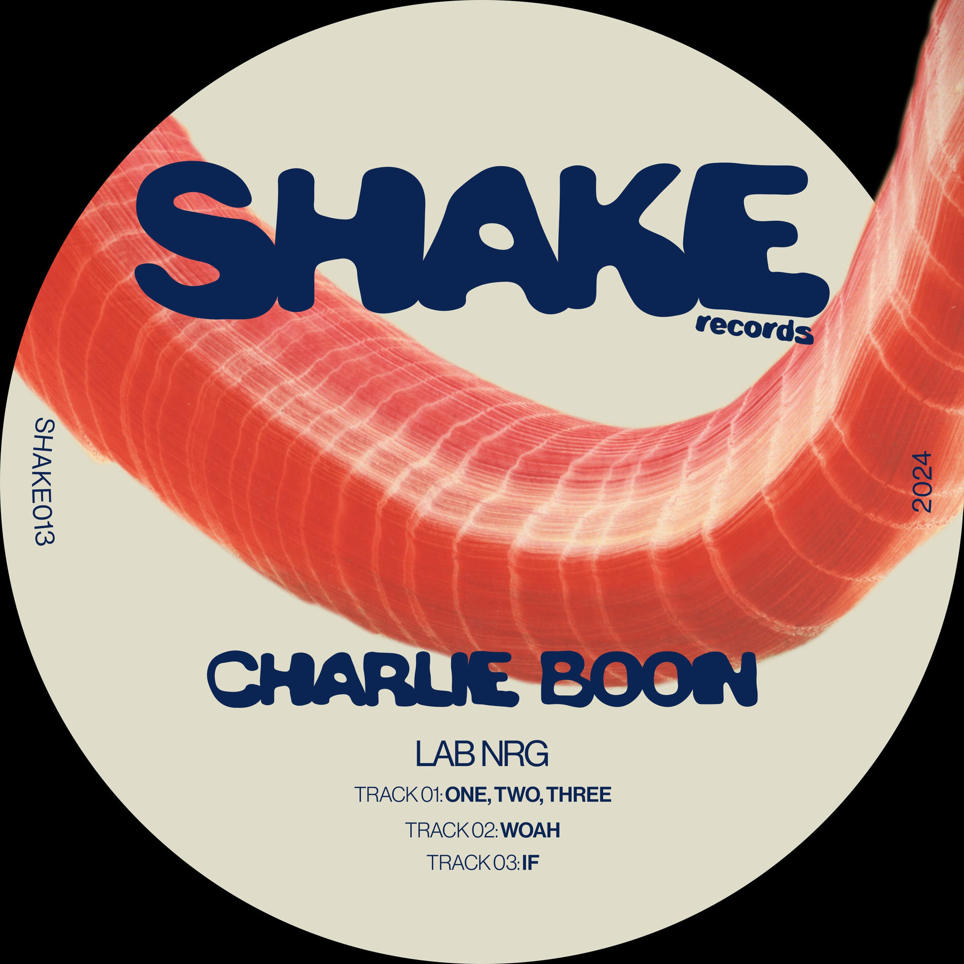 Album cover of LAB NRG