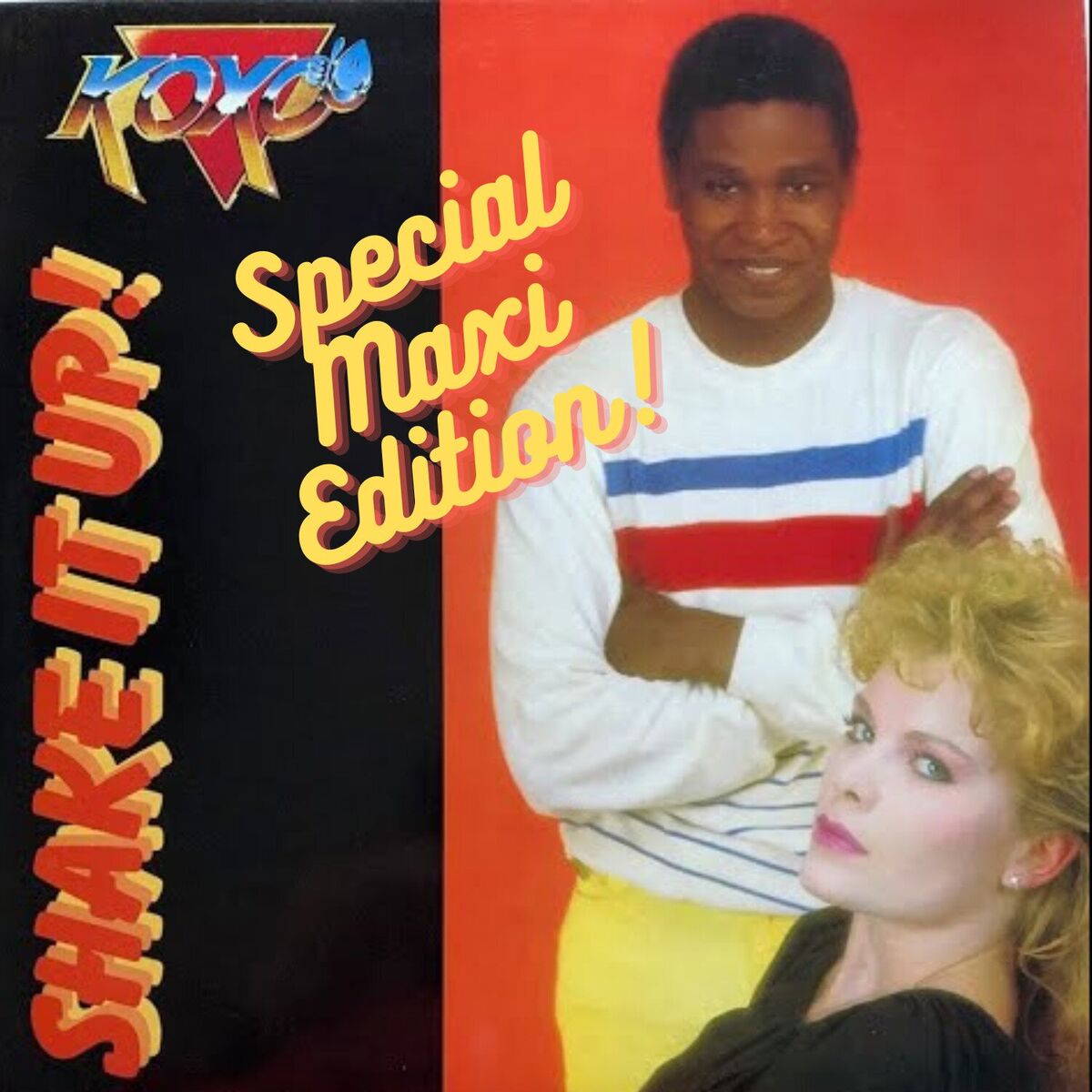 Album cover of Shake It Up - Special Maxi Edition