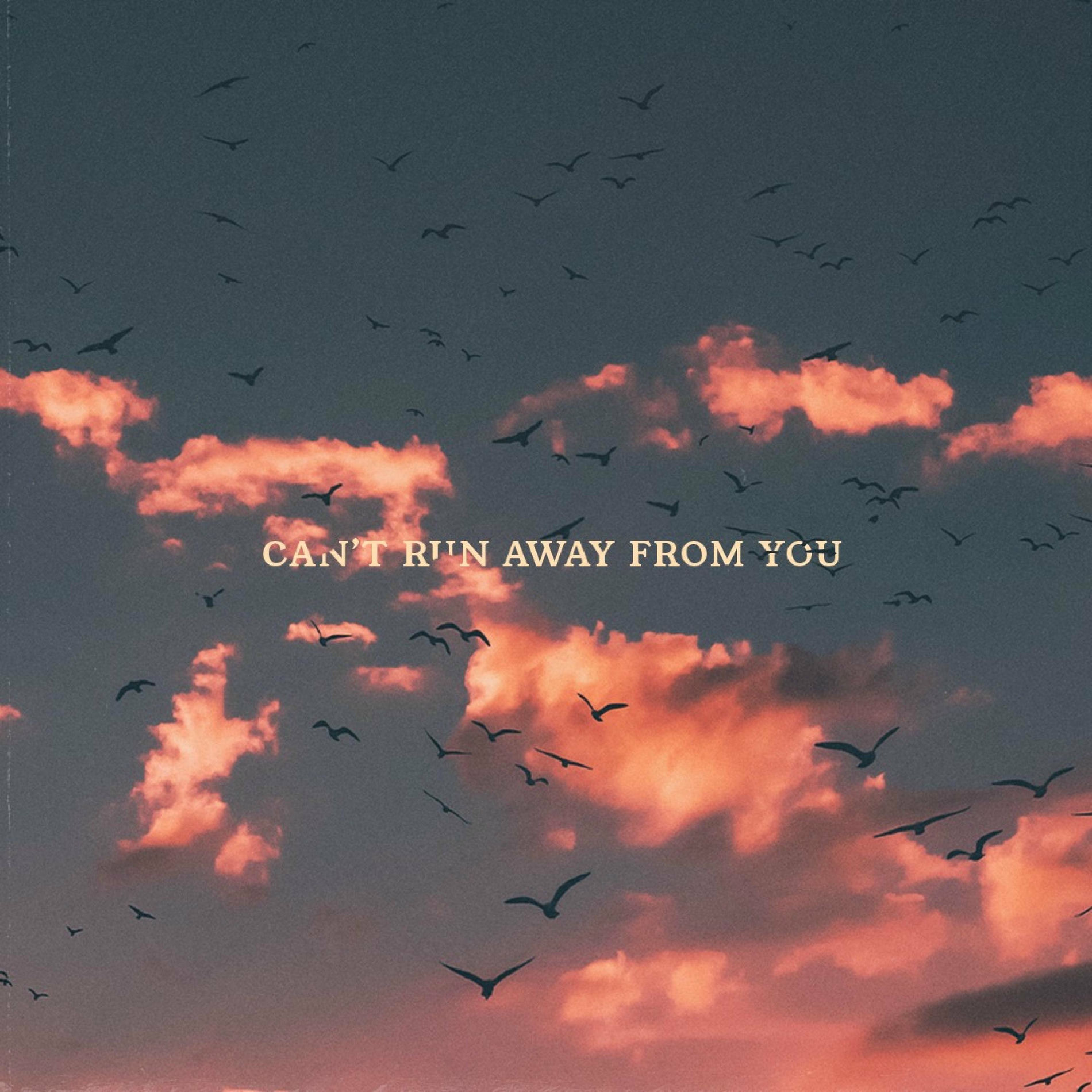 Album cover of Can't Run Away From You (feat. Louk)