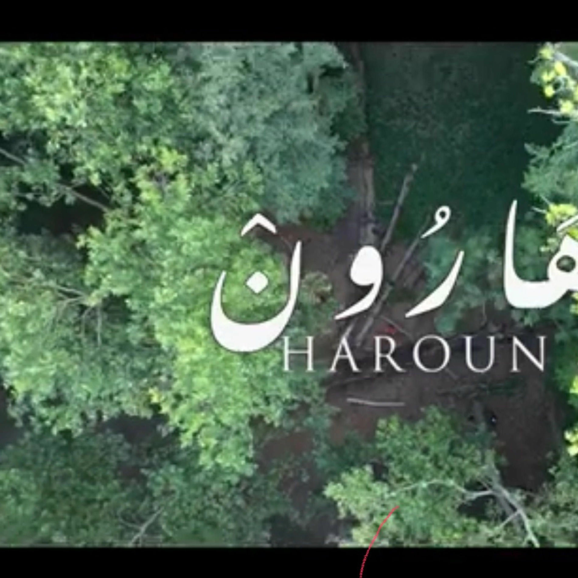 Album cover of Mani grayeb