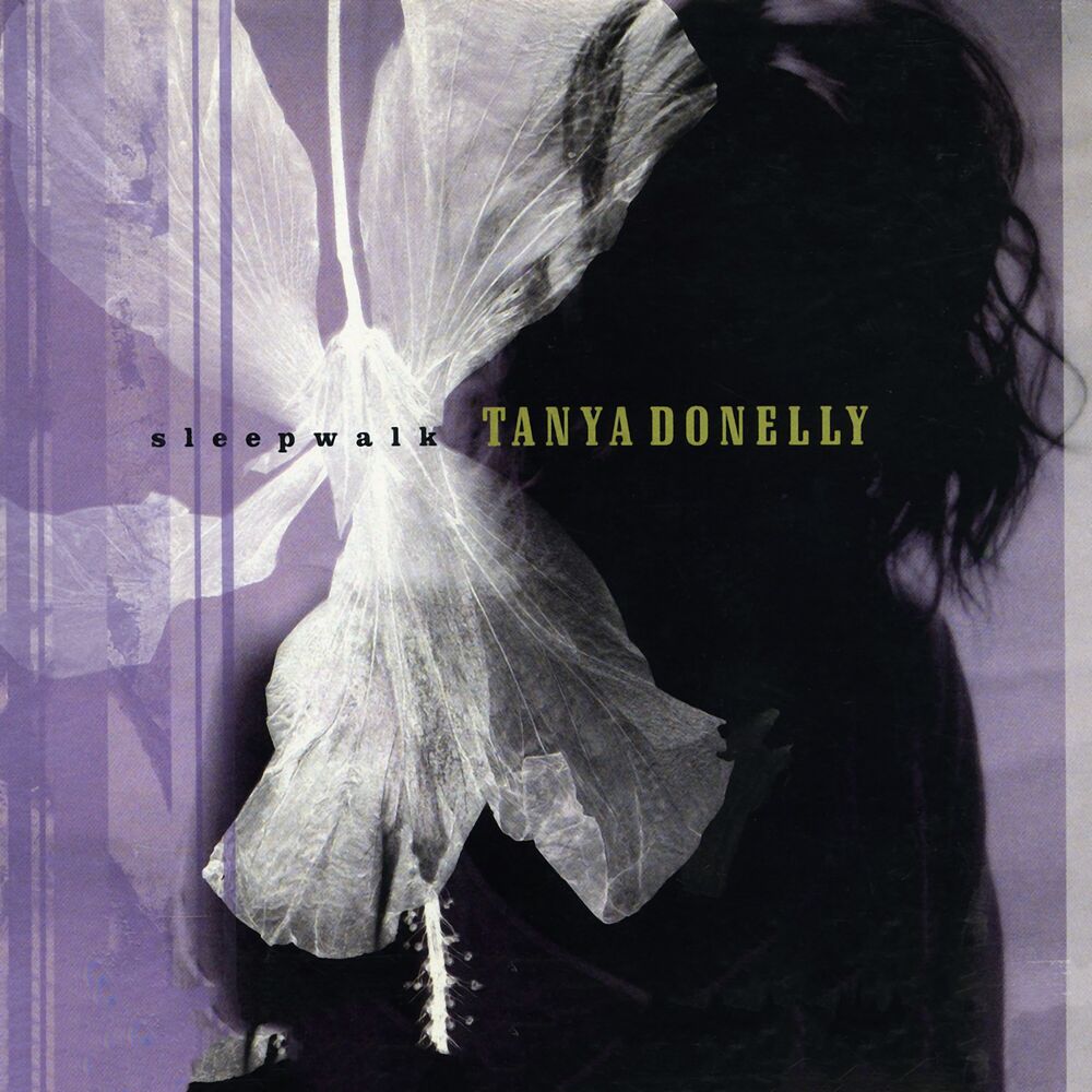 Picture of Sleepwalk