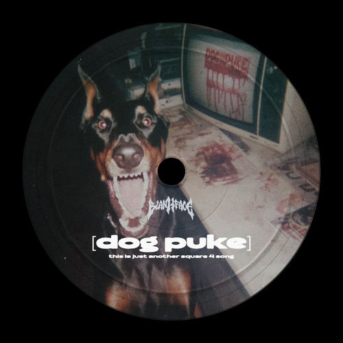 Dog Puke