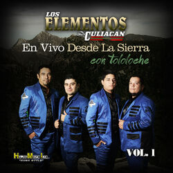 Cover of Desde la Sierra Con Tololoche (En Vivo), Vol. 1