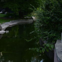 Cover of Deep sleep by undefined