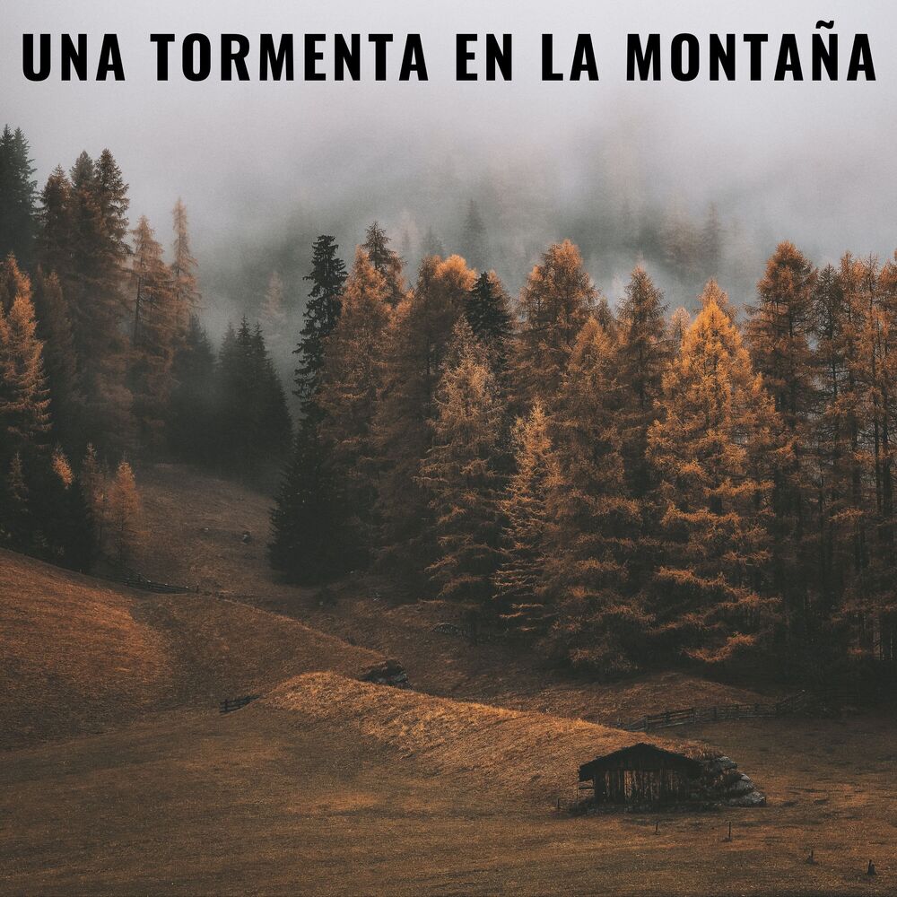 Picture of Una Tormenta En La Montaña