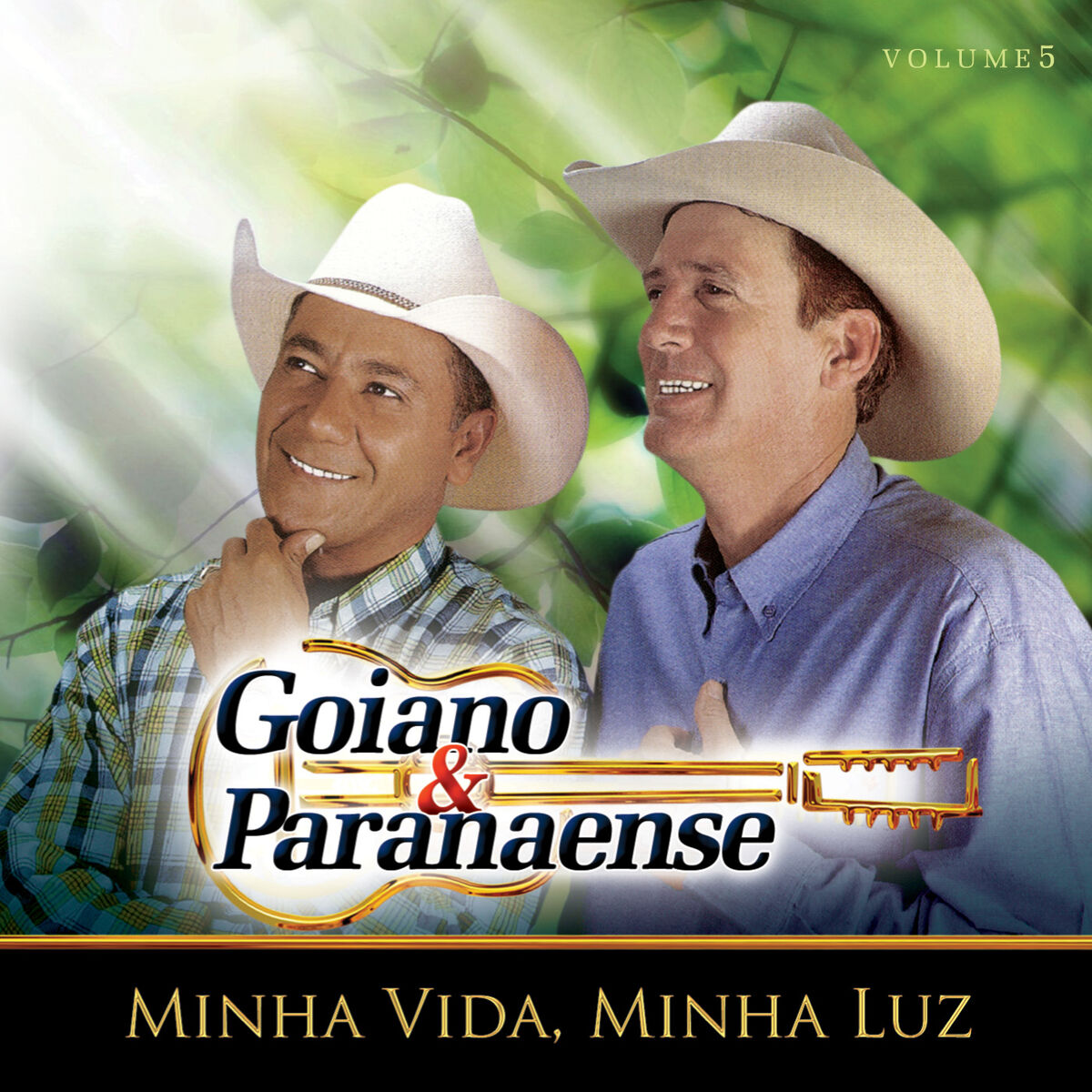 Album cover of Pot Pourri de Pagode