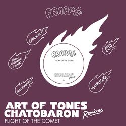 Cover of Flight of the comet (Remixes)
