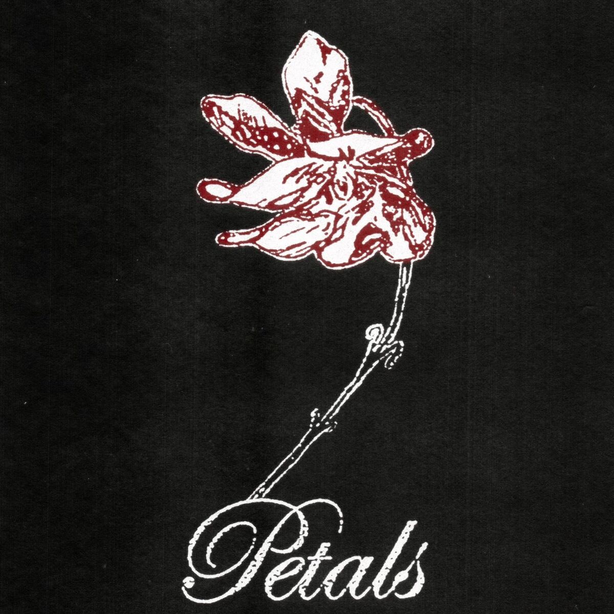 Album cover of Petals