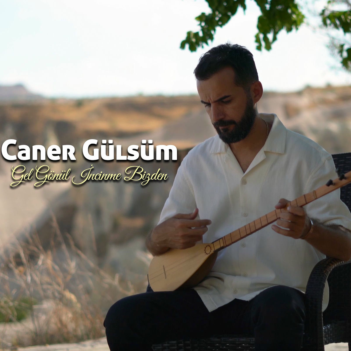 Album cover of Gel Gönül İncinme Bizden