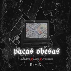 Cover of Pacas Obesas (Remix)