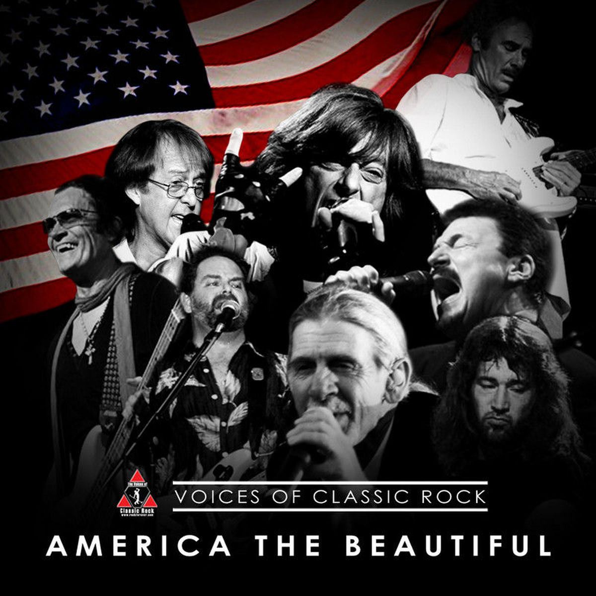 Album cover of Voices For America 