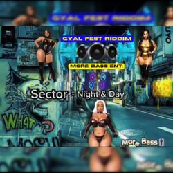 Cover of Night & Day