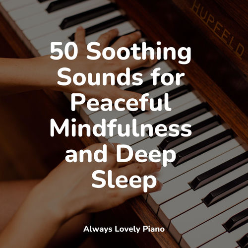 50 Comforting Music That Get You To Focus