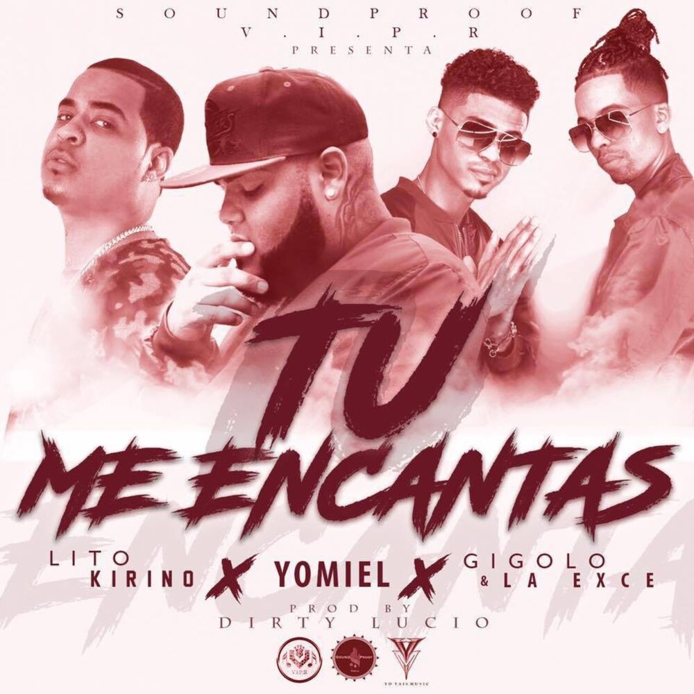 Picture of Tu Me Encantas