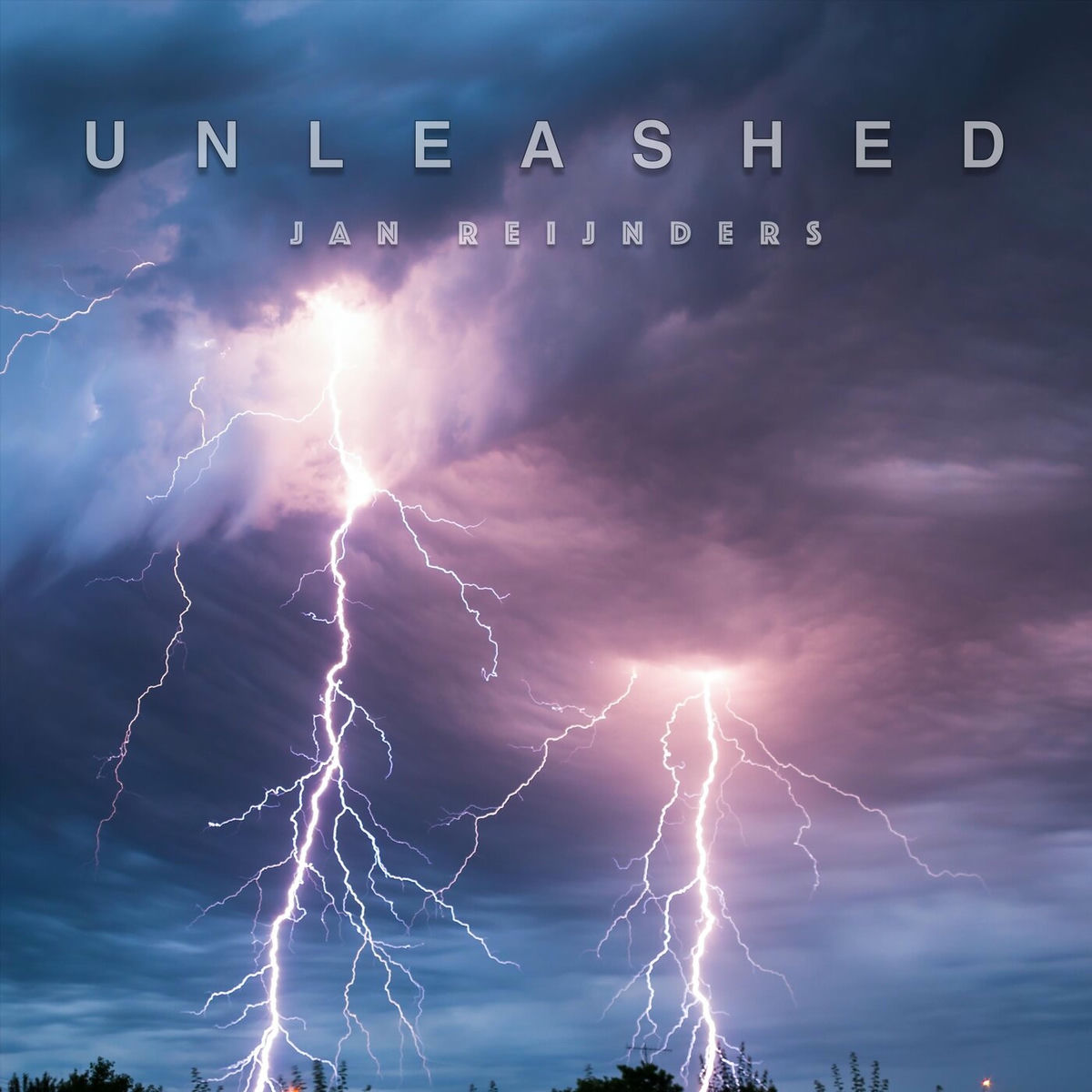Album cover of Unleashed