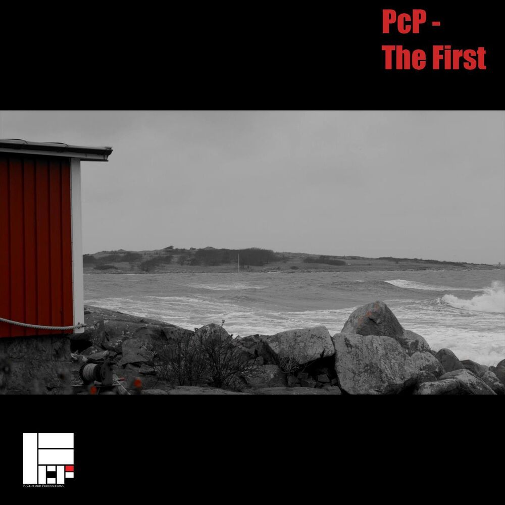 Picture of The First