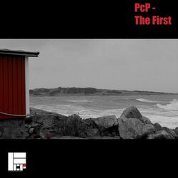 Cover of The First