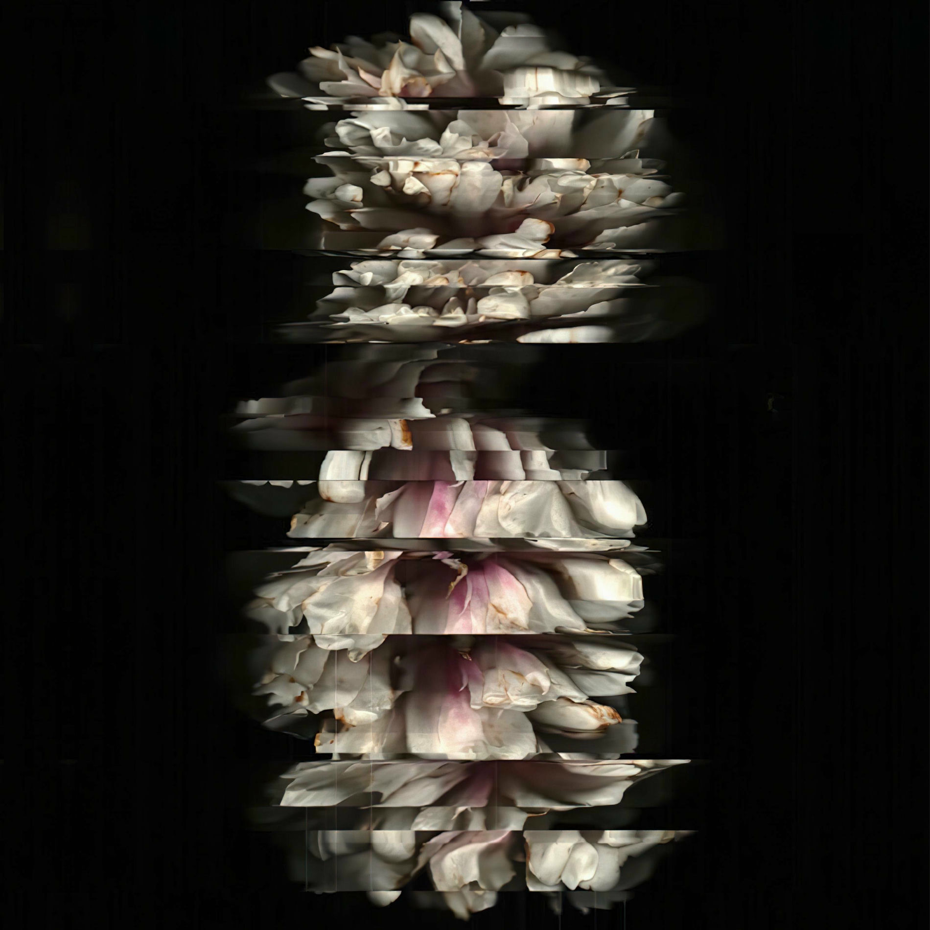 Album cover of BLACKSHAPE